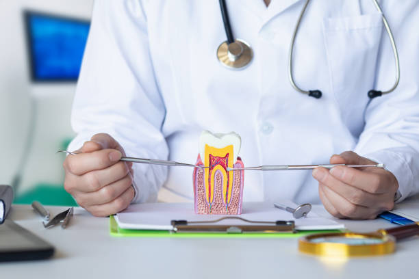 Best Emergency Root Canal Treatment in Harb, OR